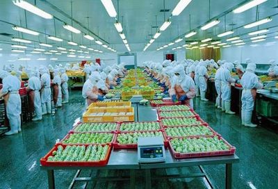 海洋食品造就中国名城 荣成深耕海洋掘金“蓝色经济”