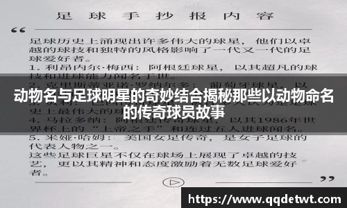 动物名与足球明星的奇妙结合揭秘那些以动物命名的传奇球员故事
