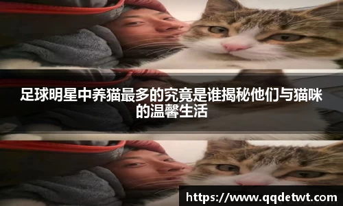 足球明星中养猫最多的究竟是谁揭秘他们与猫咪的温馨生活